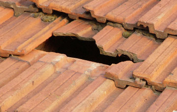 roof repair Spurtree, Shropshire